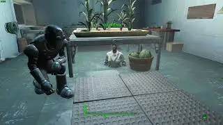 Fallout 4 WTF 2