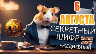 Новый Секретный Шифр Хамстер Комбат 5-6 августа. Ежедневный шифр HAMSTER KOMBAT 5-6.08
