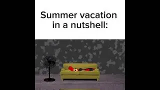 Summer vacation in a nutshell