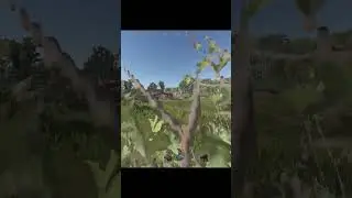 Some people in rust amaze me.. 