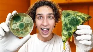 Made FOOD FROM MOLD! (do not repeat!)