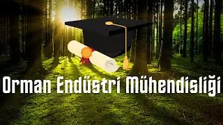 Orman Endüstri Mühendisliği İş Olanakları ve Çalışma Alanları | 2021