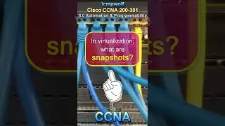 Cisco CCNA: What is a snapshot? 