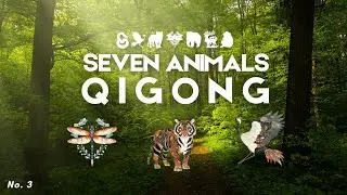 Tiger, Crane & Dragonfly Qigong | Process Emotions