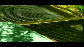 Canon 60D Movie