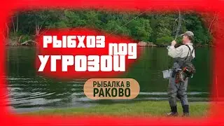 Поможем Пенсионеру Сохранить Водоем. Рыбхоз Раково. Московская Область