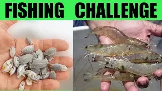 Sand Fleas vs Shrimp Fishing Against Aliex Folgueira Youtuber Challenge