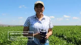 Conocé a los agricultores mexicanos que se sumaron a los Proyectos de Adaptación Climática.