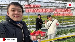 NYOBAIN STRAWBERRY JEPANG SEPUASNYA | JAPANESE STRAWBERRY PICKING | 那須の森いちご狩り#japantravel