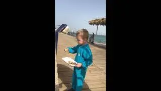 Не ходите дети в Африку гулять, Египет и его маленькие людоеды, будь осторожен турист!!!