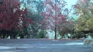Watch&Chain_ Teaser 3