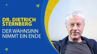 Der Wahnsinn nimmt ein Ende | Dr. med. Dietrich Sternberg | Traumatherapie Institut Berlin