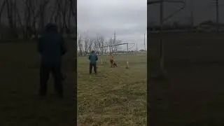 Раш Макс защита дек21