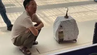 ĐẤU TRƯỜNG 2.5 52 CB SAO SÔ TRƯỜNG CHIM Sơn Moon