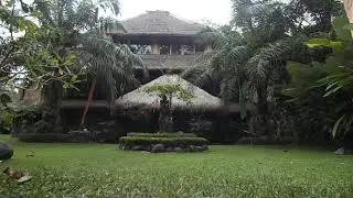 Sound of Natures #shorts #nature