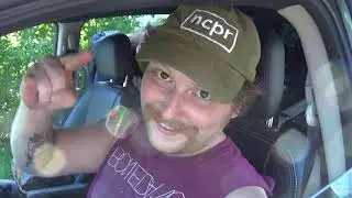 Sunflo'er - 