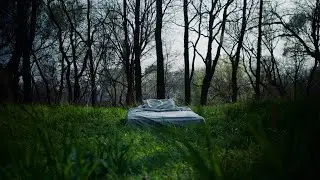 The Forest: Penumbra (Official Trailer)