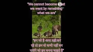 #motivation #dailymotivation #happiness#newskills #skills #maheshwari #maheshwary #viralshorts