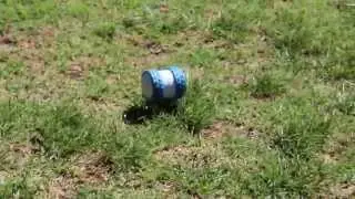 Ollie in Balboa Park