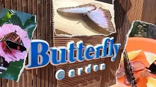 Butterfly Garden - Zoo Marine 2023