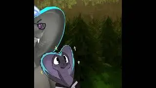 A beautiful moment