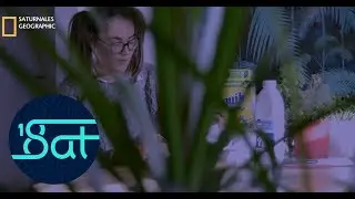 4. JUNGLE PRESAT' - il faut se SATisfaire du nécessaire