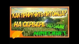 Как приручить питомца на сервере RUGAME?