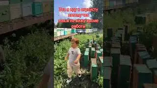 ох уж эта работа