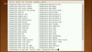 Instalación de Apache+PHP+MySQL+PHPMyAdmin en Ubuntu 8.04 - 02/04