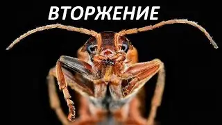Вторжение ! Фильм НЕЗРИМЫЙ ВРАГ - не фантастика - реальное вторжение чужих
