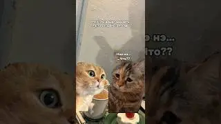 Жиза в корейском кафе 😄 #корейскийязык #корея