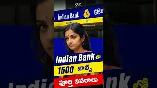 Indian Bank recruitment 2024 | Indian Bank apprentice recruitment 2024 for 1500 posts