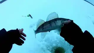 FISHING FOR PIKE-PERCH. WINTER FISHING FOR PIKE-PERCH WITH TULKA.