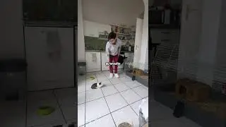 What does my guinea pig do when I leave?