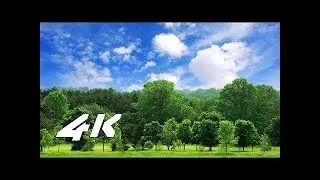 4K VIDEO ultrahd hdr sony 4K VIDEOS demo test nature relaxation movie for 4k oled tv