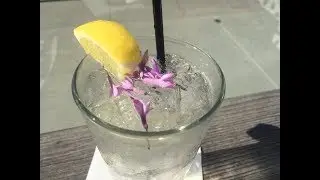 Marie Brizard Elderflower Spritzer