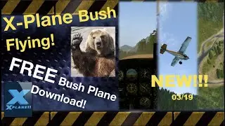 X-Plane 11 Bush Flying
