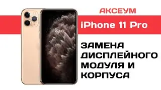 Замена экрана и корпуса на iPhone 11 Pro