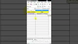 Age calculation in Libreoffice calc  