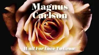 Magnus Carlson - Wait for Love to Grow (official audio)