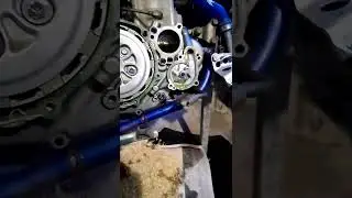 WR 250f repairs oil pump fail ?