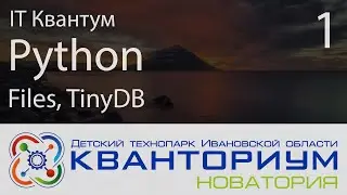 Запись стрима: Python; работа с локальными БД, CRUD