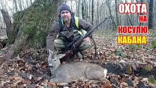 Охота на косулю и кабана / часть 2