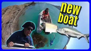Our first Akaroa dive trip on the NEW BOAT! (Part 1)