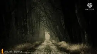 Gece ormanda cin düğününe katılan bekçinin esrarengiz hikayesi #cin #cinler #cin düğünü #paranormal