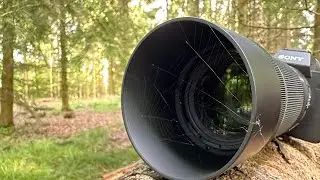 Macro fototur i ny skov