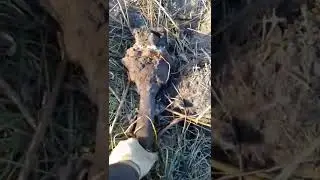 сброс металлолома 