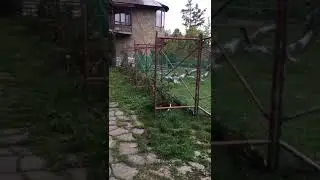 Тренер от бога)))