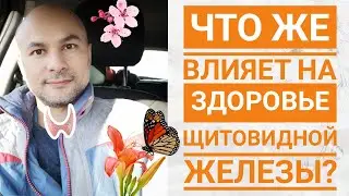 Что же влияет на здоровье щитовидной железы