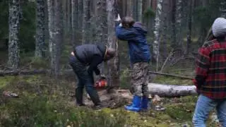 Меня свалили!